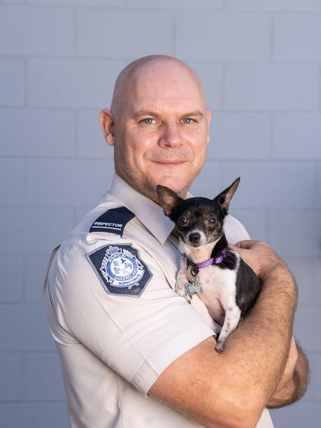 Three-year-old Chihuahua dog Peggy Sue and RSPCA worker Yorick Wahlberg. Picture: Peter Wilson