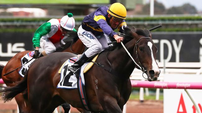 Damian Oliver has persuaded trainer Mick Price to set Grunt for the Cox Plate, rather than the Caulfield and Melbourne Cups. Picture: AAP