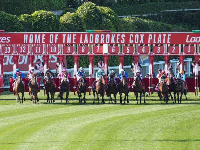 Horses jump from the barriers at the start of the Ladbrokes Cox Plate at Moonee Valley Racecourse on October 28, 2023 in Moonee Ponds, Australia. (Photo by Pat Scala/Racing Photos via Getty Images)