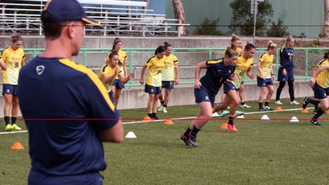 Matildas coach Alen Stajcic overseeing training.