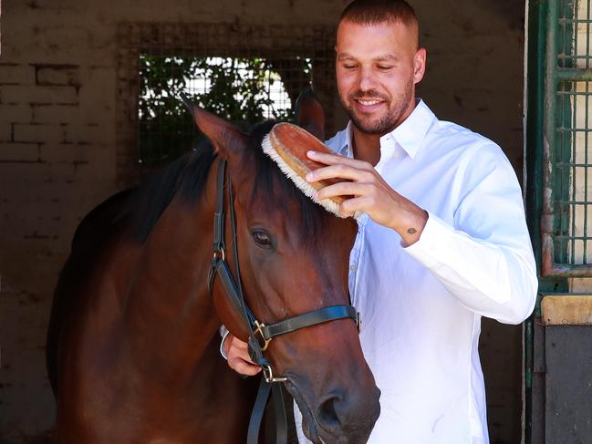 **All Star Mile pic story**Buddy Franklin with, Shout The Bar, at Gai Waterhouse stables in Kensington, today.Picture:Justin Lloyd