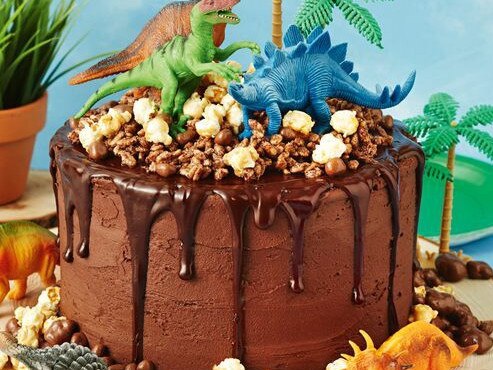 Choc-rocks dinosaur cake.