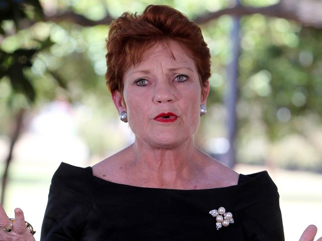 Pauline Hanson says there should be an investigation of politicians’ entitlements for the last five years. Picture: Colin Murty