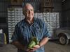 ‘Save for a house deposit’: How to cash in on avo avalanche