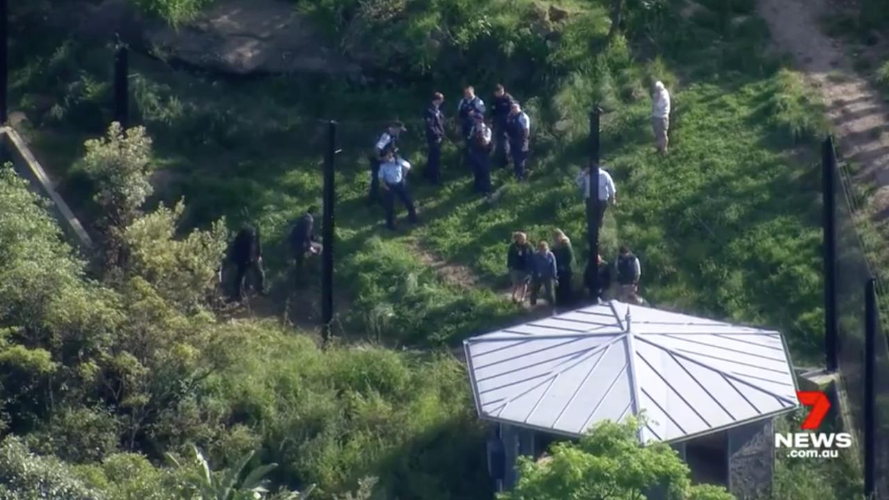 Police and zoo staff seen inside the lion enclosure. Picture: Channel 7