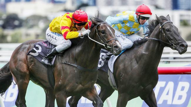 Ready For Victory, left, is among the main contenders for the Sires. Picture: Colleen Petch