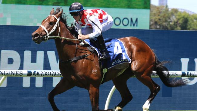 Waterford can bounce back from his first-up defeat and claim the Ajax Stakes at Rosehill on Saturday. Picture: Grant Guy