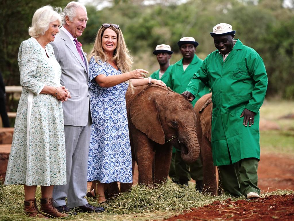 Queen Camilla and King Charles III enjoy elephants playing during a visit to Sheldrick Wildlife Trust Elephant Orphanage in Nairobi, Kenya. Picture: Victoria Jones/Getty Images