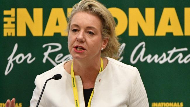 Then-Minister for Sport Bridget McKenzie had no legal authority to pick recipients of a $100 million community sports cash splash. Picture: AAP Image/Mick Tsikas