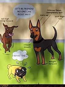 One South Australian council has installed special signs to help dog owners better understand their pet's behaviour. Image: www.doggiedrawings.net