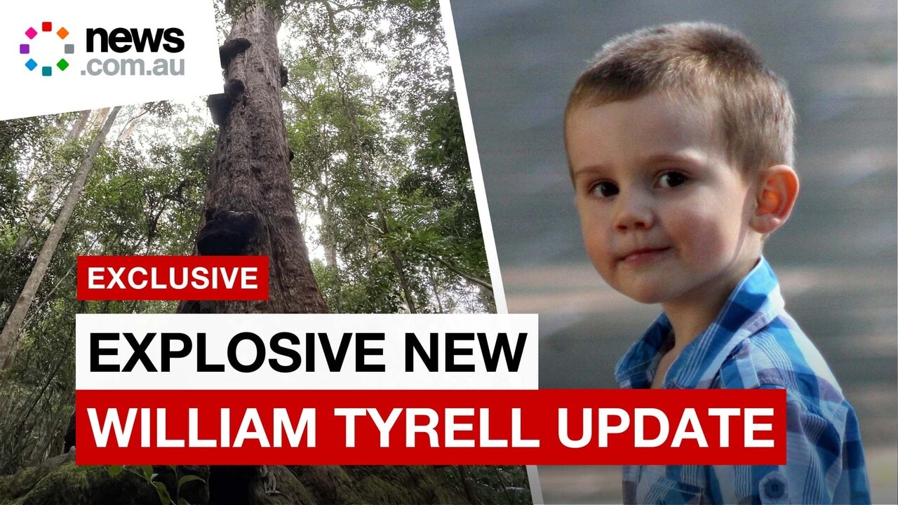 William Tyrrell's possible burial site revealed