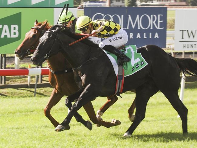 Conspirator (outside) can atone for his narrow defeat on debut with a win at Scone on Friday. Picture: Bradley Photos