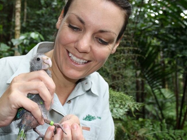 Abi Smith, CEO and fauna ecologist holding a Norfolk Island Green Parrot in a previous role with Parks Australia where she led the recovery of these critically endangered species. Picture: Cassandra Jones/Supplied