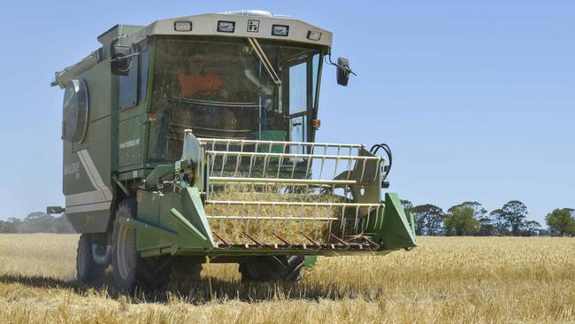 Backing business: The Victorian Government today announced a Victorian Agriculture Industry Reference Group to deal with coronavirus issues.