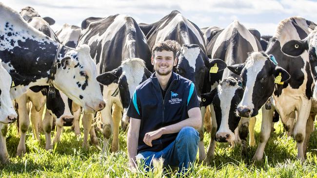 DAIRY: Melbourne Show Preview - Angus Fraser Melbourne Show Preview - Dairy Judging PICTURED: Angus Fraser on a dairy farm at Tongala Picture: Zoe Phillips