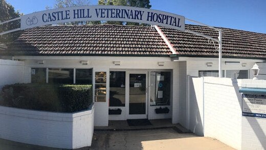 Staff at the Castle Hill Veterinary Hospital have been struggling to meet demands during Covid