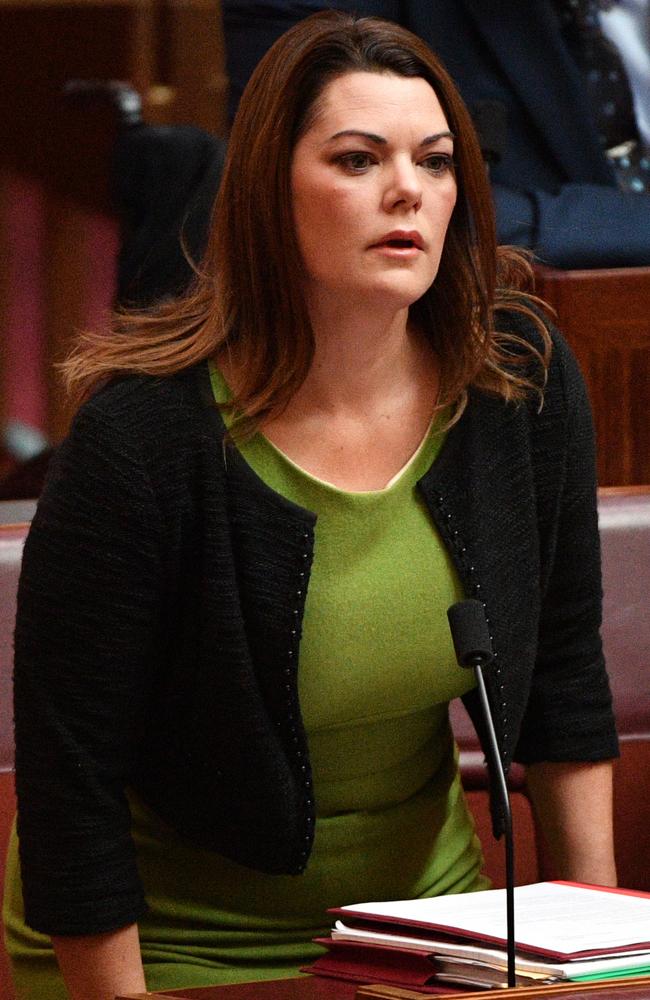 Ms Leyonhejelm has himself been accused of sexism, by Greens senator Sarah Hanson-Young, who is suing him for defamation. Picture: AAP