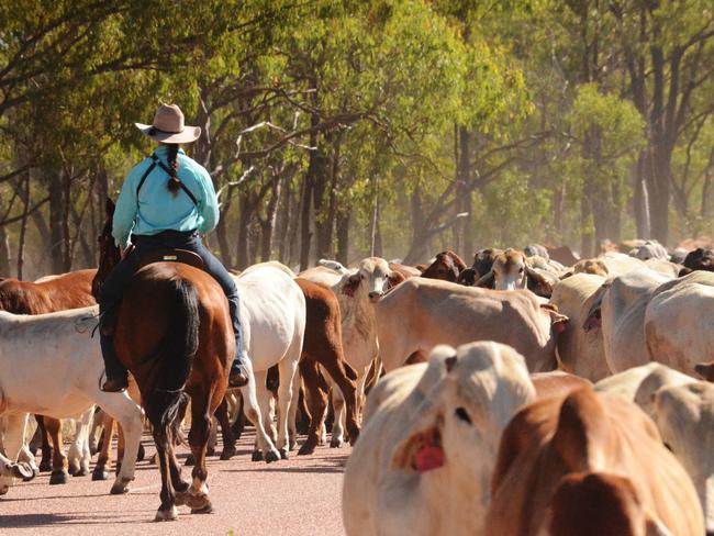 Vital works funded through $1M stock route network upgrade