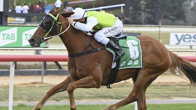 Race 7 - Canberra, 12/03/2023, Winner-Another One