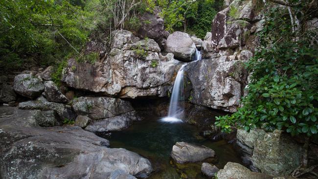 Crystal Creek Rainforest is just one of the many stunning nature walks.