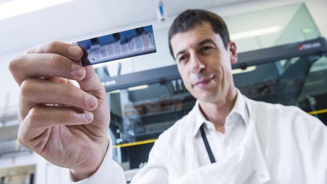 Matt Brown, director of genomics at QUT. Picture: Erika Fish.