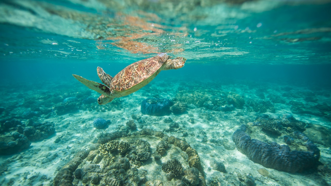 How to do a Great Barrier Reef road trip in 4 days