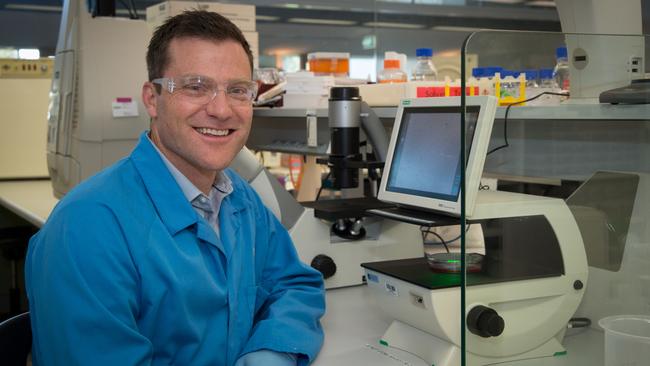 Sean McGee, Professor of Medical Biology at Deakin’s School of Medicine and the Institute for Mental and Physical Health and Clinical Translation, was part of a team that identified the role of amyloid beta in heart failure in obese people.