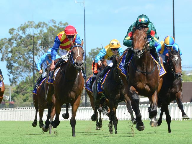 Alligator Blood winning the Vo Rogue Plate at Eagle farm. Picture: Trackside Photography