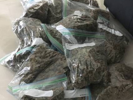 Drugs seized on the raids in the Illawarra, Bankstown and Punchbowl. Picture: NSW Police.