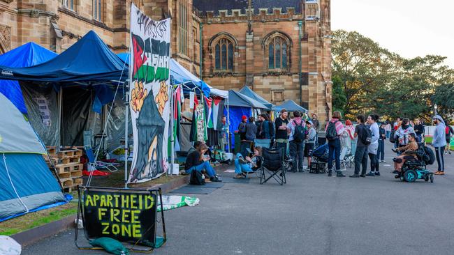 Pro-Palestine protests at The University of Sydney. Picture: Justin Lloyd.