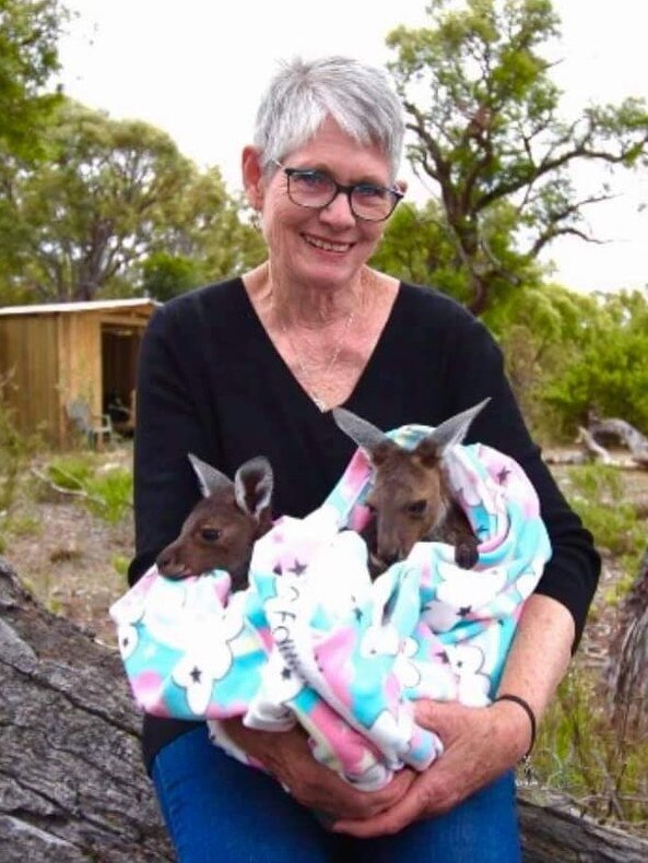 Amaris Wildlife Rehabilitation Sanctuary Maggie Van Santen with kangaroo joeys. Picture: Contributed