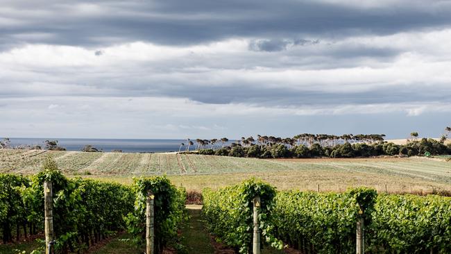 Ghost Rock Vineyard, at Northdown, overlooking Bass Strait. Picture: Ness Vanderburgh