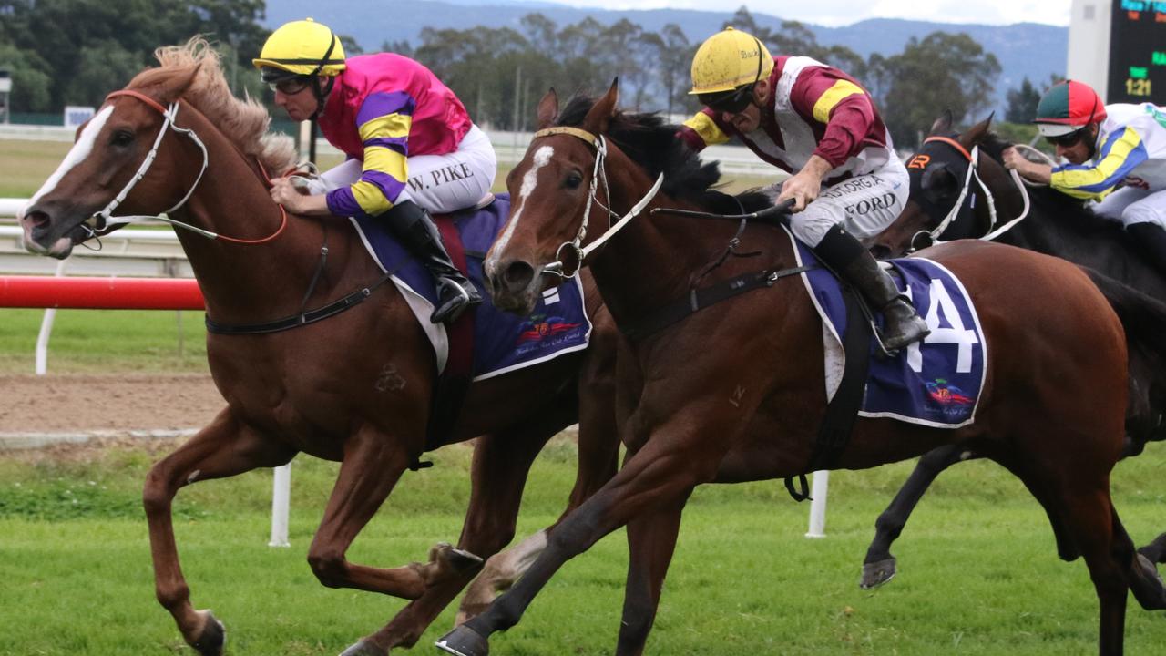 Dalchini (right) looks a great chance at big odds at Rosehill on Saturday. Picture: Grant Guy