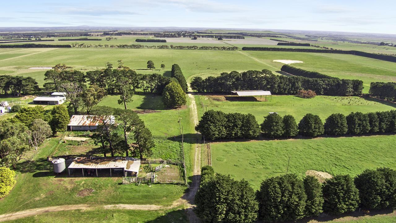 Buyers eye greener pastures, securing small farms in a ring around ...