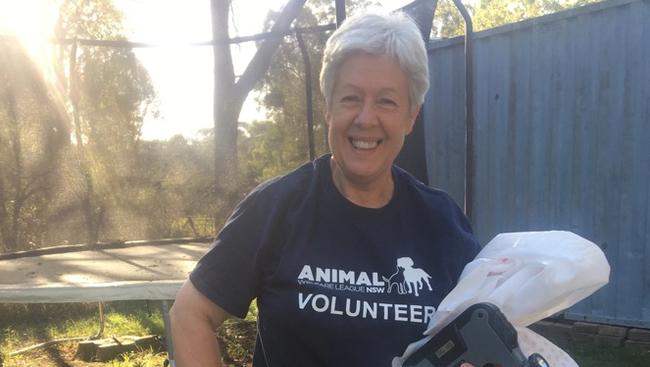 Animal Welfare League NSW Western Suburbs Branch member Glyn Boobyer who rescued Storm and her kittens from a home due for demolition in Riverstone