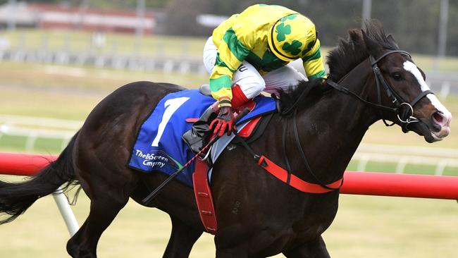 Pacodali will head west for the big Group 1s in Perth after winning the Eclipse Stakes. Picture: AAP