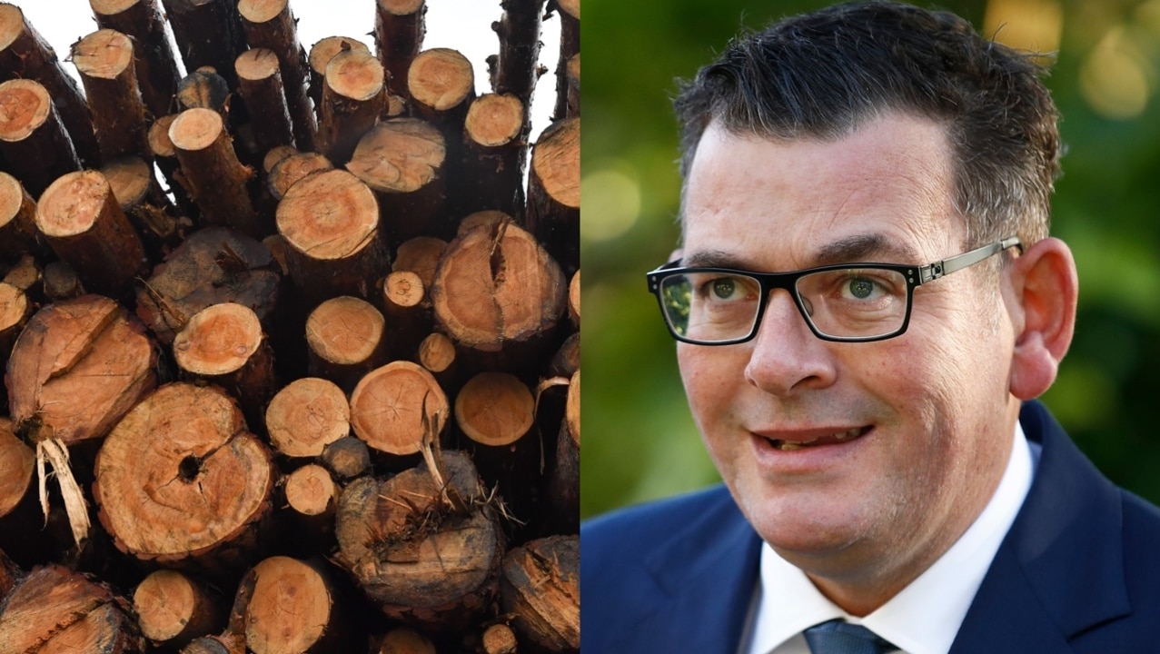 The end to Victoria logging industry is an ‘invitation to leave the state’