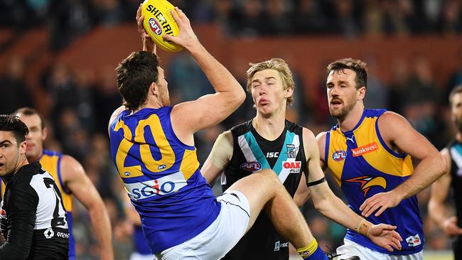 Jeremy McGovern’s aerial work crushed Port in the elimination final. Picture: Daniel Kalisz/Getty Images