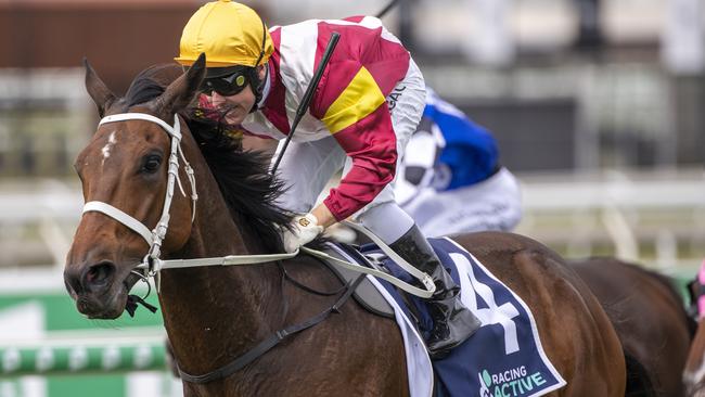 Ryan Maloney rode Brimham Rocks to victory in the Tattersall's Cup. Picture: AAP