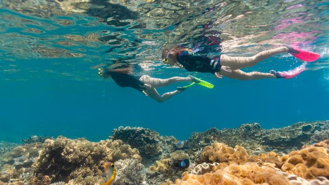 Mark Olsen, TTNQ CEO, said around 30,000 people a day were searching for flights to Cairns during July and the offer to get $100 off their fare helped more than 10,000 to make the decision to travel before the Christmas school holidays.