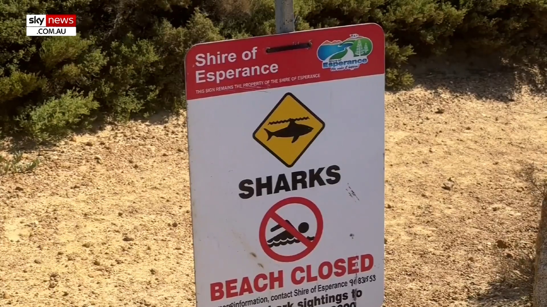 Man missing after suspected shark attack off Western Australia's south coast