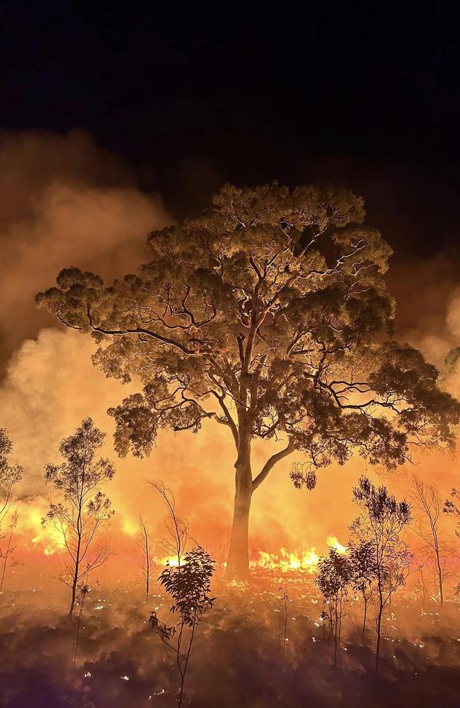 Cambooya Rural Fire Brigade photo from the fire scenes near Tara and surrounding areas Picture: Cambooya Rural Fire Brigade