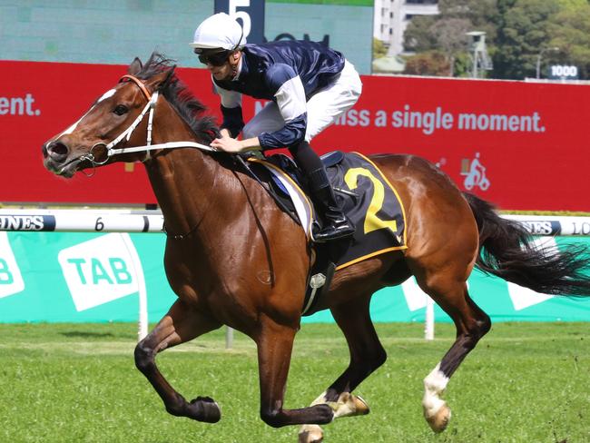 Hosier can land a second Cup with when he resumes at Muswellbrook on Friday. Picture: Grant Guy