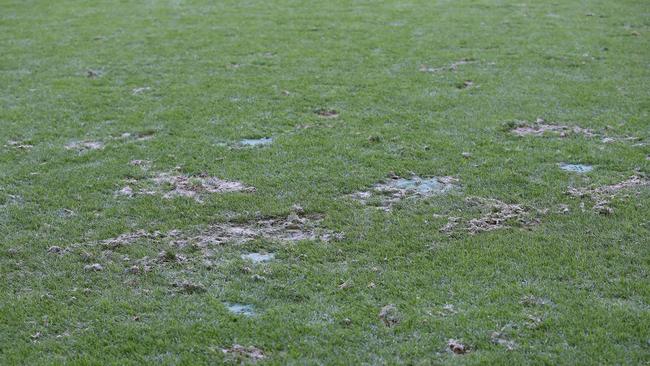 Divots in the Marvel Stadium surface in front of the players interchange benches. Pic: Michael Klein.