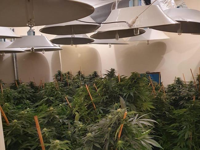 Police formed a suspicion the house was being used to grow cannabis. (File photo)