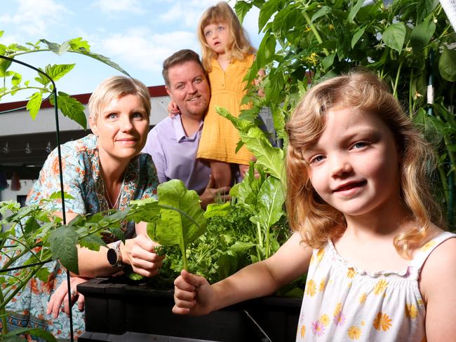 EMBARGO NETWORK FIRST USE ONLY - WEEKEND STORY- NETWORK NEWS PREMIUM CONTENT: NO THE AUSTRALIAN/NO NEWS.COM/NO SKY NEWS - Liam OÃToole and Eszter Rudolf (correct), with there kids Lily OÃToole 6yrs, Livia OÃToole 4yrs, families are growing their own fruit and veggies to combat cost of living increases, savings and other benefits from growing their own food, Ferny Hills QLD, on Thursday 13th October 2022 - Photo Steve Pohlner