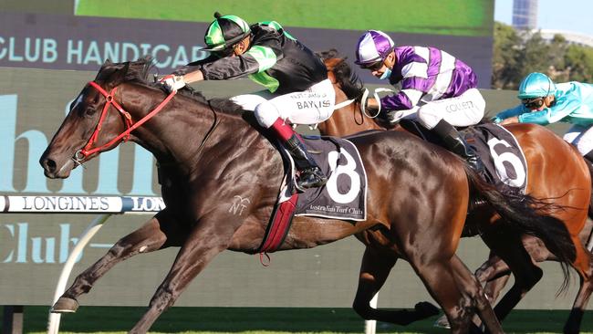Private Eye has had good support to win the Epsom after opening at a generous $13. Picture: Grant Guy