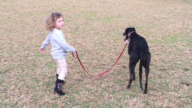 The companionship of these gentle giants is like no other. (Pic: Supplied)