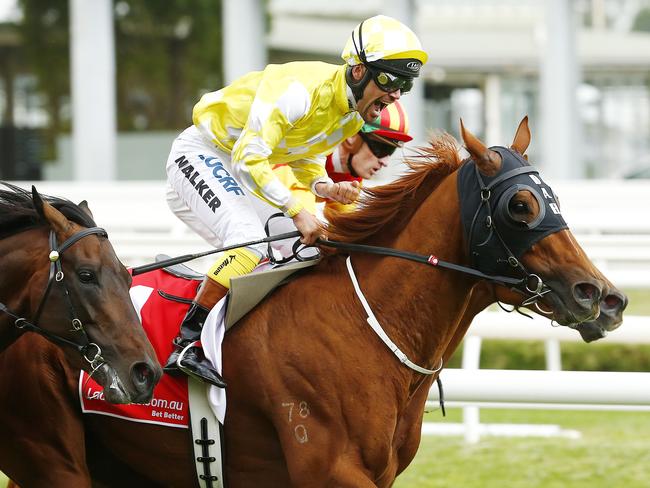 Michael Walker and Criterion combine to take out last year’s Group 1 Caulfield Stakes. Picture: Colleen Petch