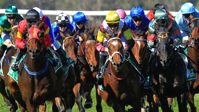 Racing in New South Wales on Thursday is at Wagga.